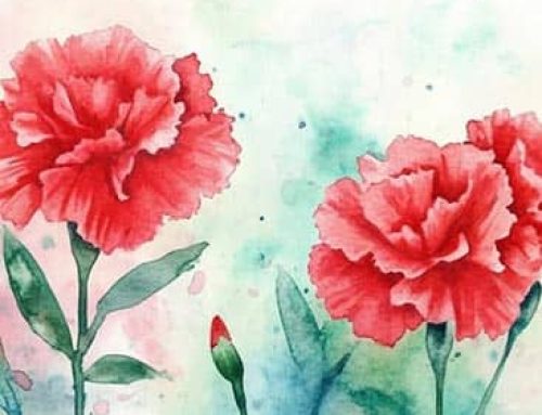 Slikanje uz vino za žene